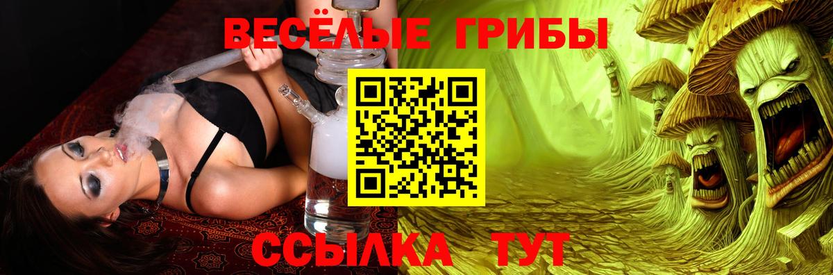 Псилоцибиновые грибы MAGIC MUSHROOMS  Вход с VPN  купить  сайты  Всеволожск 